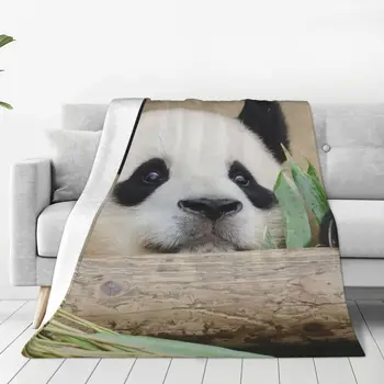 FuBao Fu Panda Bao Cobertor Quente Acolhedor Toda a Temporada, Conforto Jogar Cobertores, roupa de Cama luxuosa Viagem