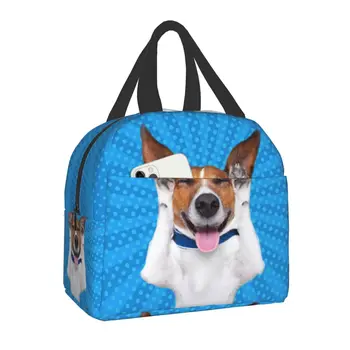 Engraçado Jack Russell Terrier Meme lancheira Térmica Cooler Isolados Caixa de Bento para Crianças, Mulheres Acampamento de Viagens Piquenique Portátil, Sacos de