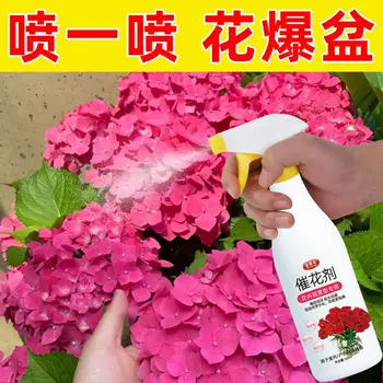 Flor-promover agente de flor especial solução de nutrientes interior família flor-promover a flor de prolongamento do fertilizante foliar