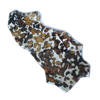 G 80.9 Seymchan Pallasite Azeite de Meteorito Fatias Natural Meteorito Material Fatias de Coleta de Amostra - CA105