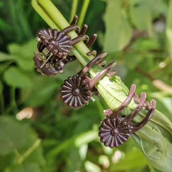 Planta de Suporte Titular Clips para a Orquídea Trepadeira Apoio Legumes Flor Amarrado Ramo de Fixação de Ferramenta do Jardim K5