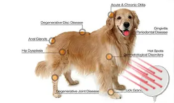Frio Terapia a Laser de Efp Dispositivo para Animais de estimação, Luz Infravermelha Máquina da Terapia para Alívio da Dor, Casa Portátil de Tratamento para Cães, Gato